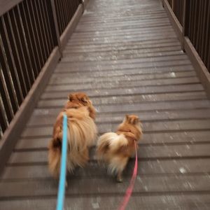 Meet your Posher, Lita